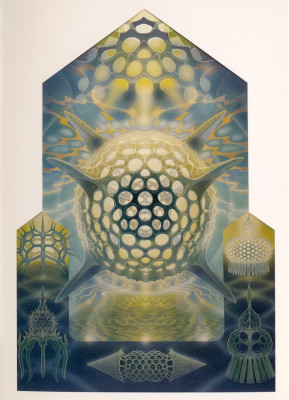Ikone für Geometer II (Radiolarien-Skelette)