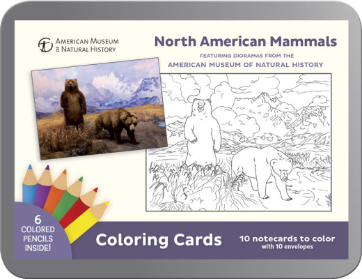North American Mammals
