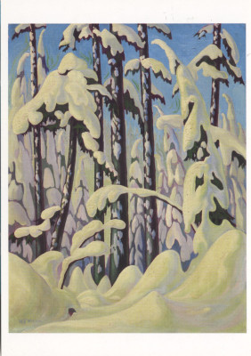 Winter trail, Grouse Mountain