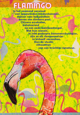 Flamingo
