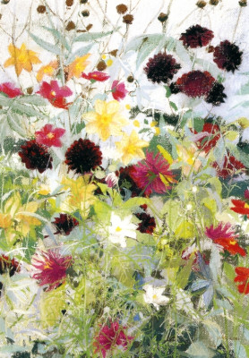Dahlien in Farb-tönen