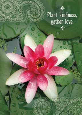 Plant kindness, gather love.