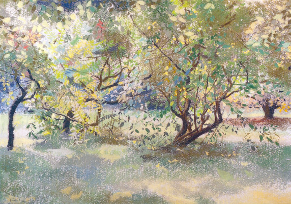 Obstgarten