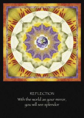 Reflection