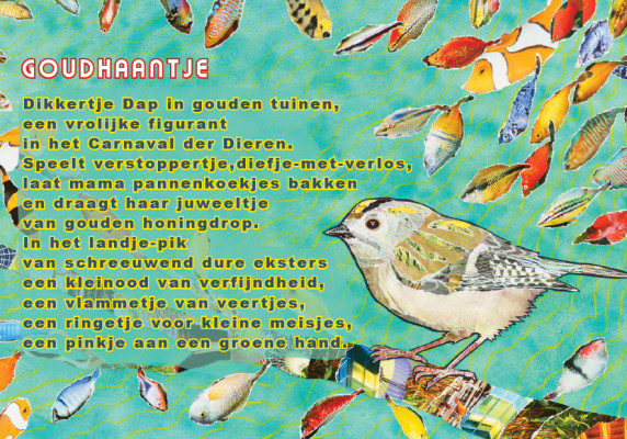Goudhaantje