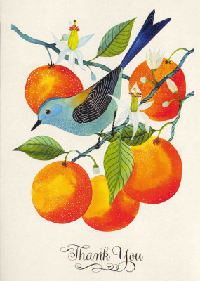 Thank you - Geninne D. Zlatkis