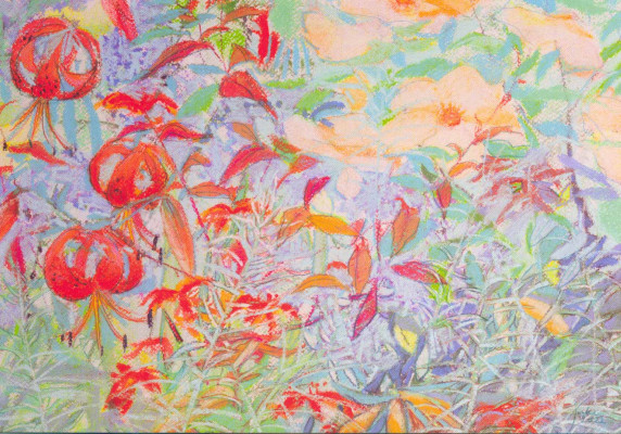 Lilium Henry & mrs. Oakley Fisher-Rose