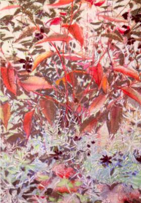 Persicaria & Artemisia