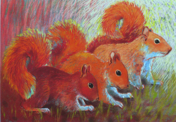 Drei Eichhörnchen