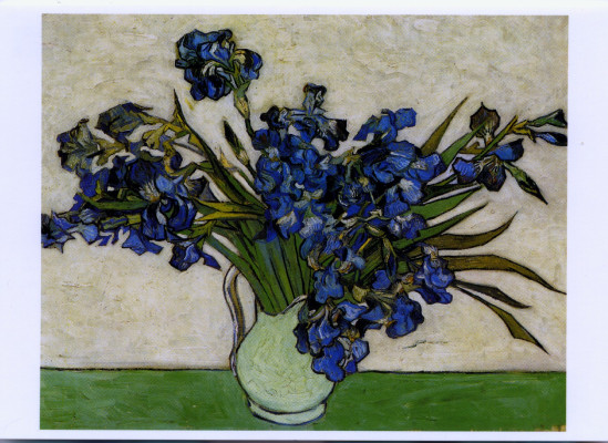 Iris