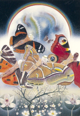 To the new earth