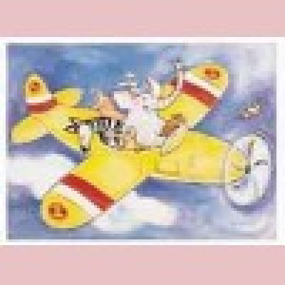 The yellow plane
