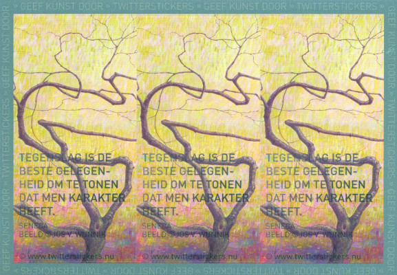 Tegenslag is de beste gelegenheid....