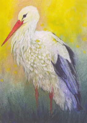 Tierfreunde 7-Storch