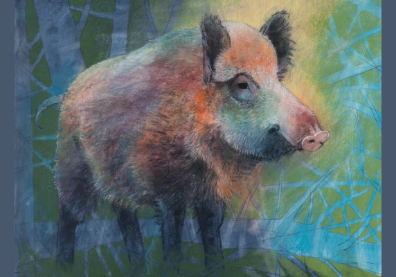 Wildschwein