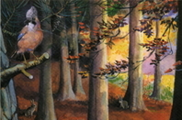 Luister, kijk, lees - Herbst 4
