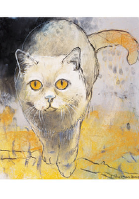 Stehende Katze