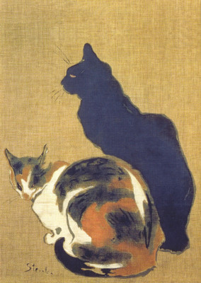 Zwei Katzen