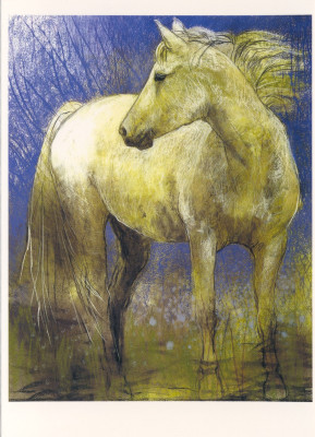 Weisses Pferd in violett