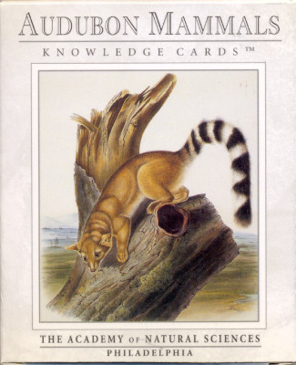 Audubon mammals