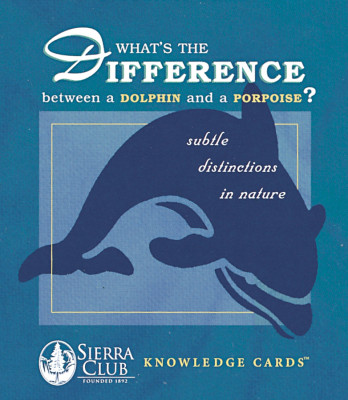 What's the Difference between a dolphin and a porpoise? - Subtle distinctions in nature