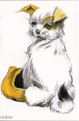 Fik