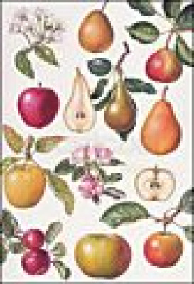 Apfel und Birnen