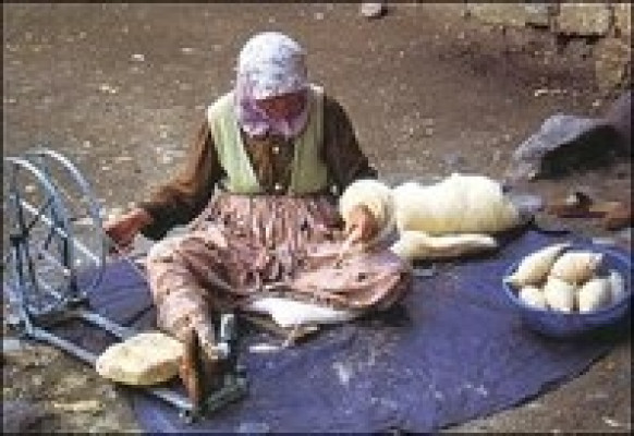 Turkey